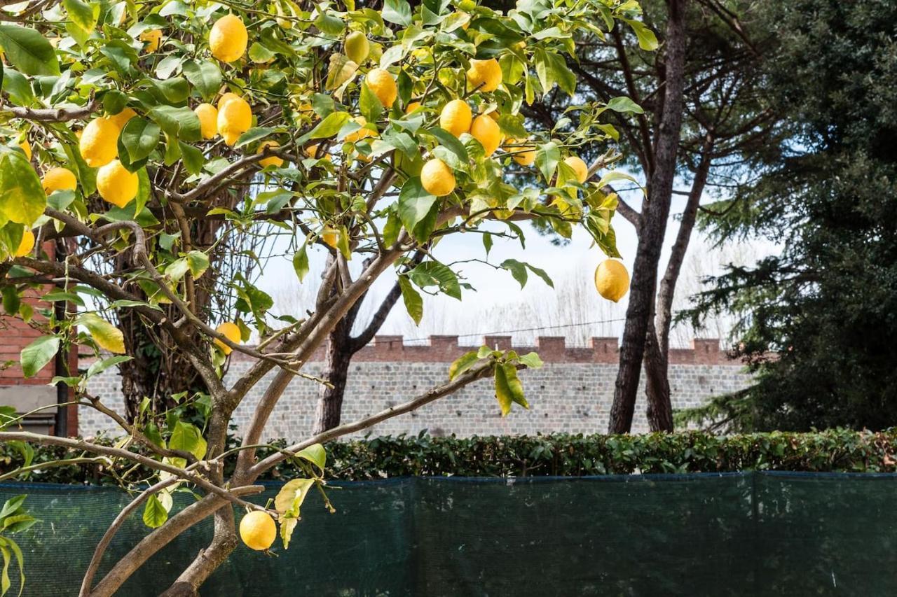 Apartamento Lemon House Yellow *